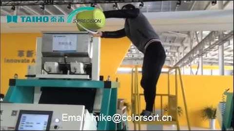 Taihe  Soybean Color Sorter