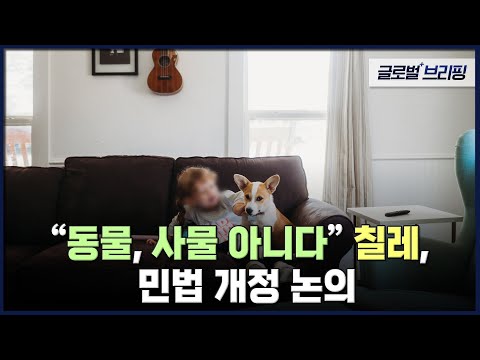 [글로벌 브리핑] &amp;quot;<strong>동물</strong>, 사물 아니다&amp;quot; 칠레, <strong>민법</strong> 개정 논의