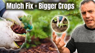 video thumbnail for: Save Time and Get Results With Proven Garden Mulch Ideas