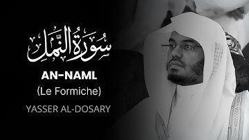 AN-NAML (Le Formiche) – سورة النمل | Yasser Al-Dosari | Traduzione Italiana