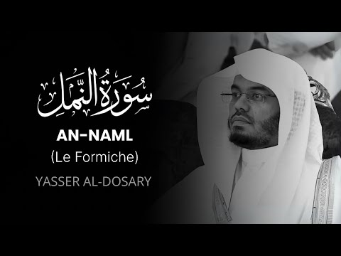 AN NAML Le Formiche سورة النمل Yasser Al Dosari Traduzione Italiana