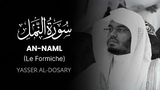 AN-NAML (Le Formiche) – سورة النمل | Yasser Al-Dosari | Traduzione Italiana