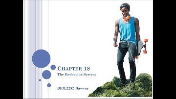 Chapter 18 Lecture Video