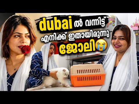 ✈️💕ഞാൻ dubai വരണ്ടായിരുന്നു😭വന്നപ്പോൾ കിട്ടിയ പണി 🫂🐱 #trending