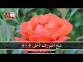 سورة الأعلى تلاوة من نور الشيخ عبدالباسط عبدالصمد رحمه الله