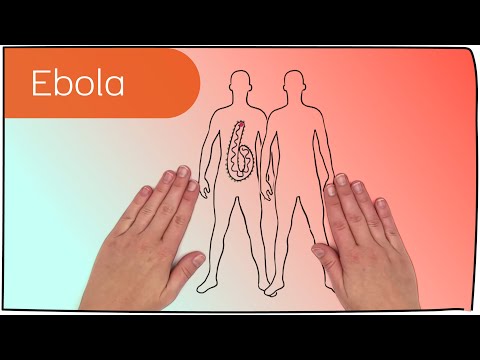 Video: Charakterisierung Des Plasma-Proteoms Nichtmenschlicher Primaten Während Der Ebola-Virus-Krankheit Oder Melioidose: Ein Vergleich Der Wirtsantwort