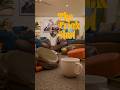The Trick Shot - Original Short Animation #blender #animation #trickshots
