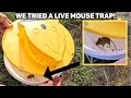 Does This Work? | Live Mouse Trap