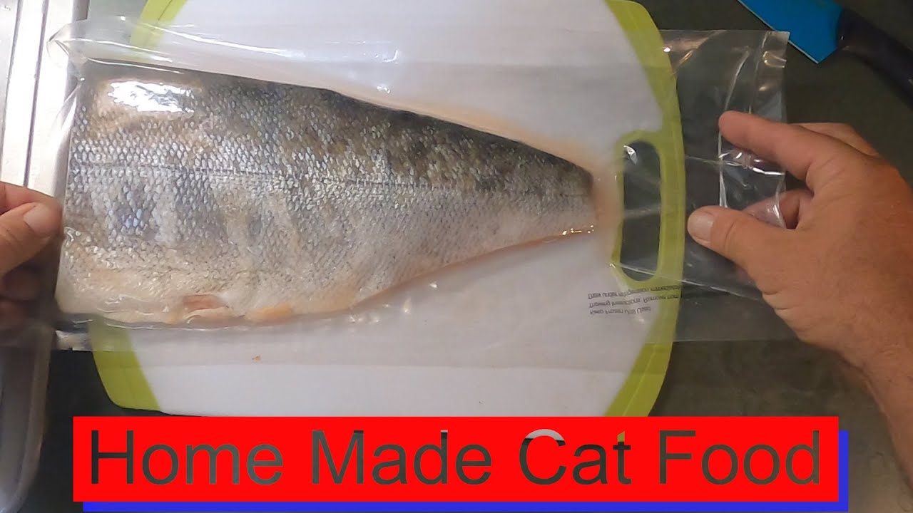 How To Cook Home Made Cat Food Fish Chicken Eggs & Rice YouTube