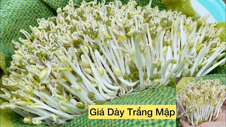 Cách Làm Giá Trắng Mập Dày Tại Nhà Bằng Bao Tải Gạo Rất Dễ