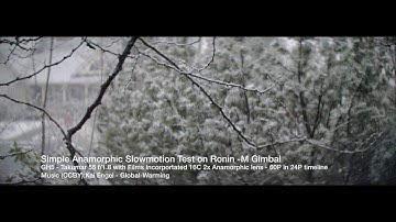 Snow in Reverse - GH5 Anamorphic - 60P to 24P Slow-motion Test