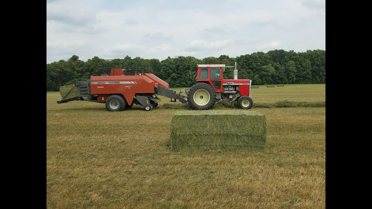 Growers Success Story: Gooding Family