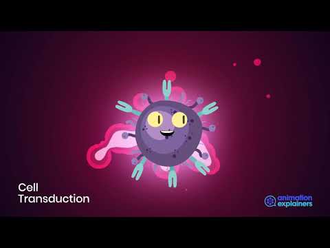 Genezen Labs Medical Explainer Video 2 | Animated Explainer Example