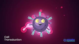 Genezen Labs (video 2) // Animation Explainers