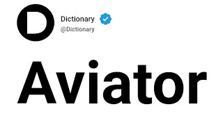 Aviator Meaning In English