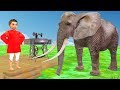 Good Elephant and Poor Tailor Hindi Kahaniya | Moral Stories  | Fairy Tales In Hindi