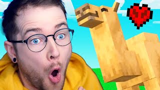 I Did All THIS For a Minecraft Camel..