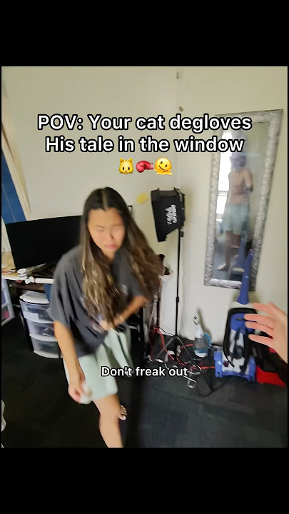 This literally happened while I was filming another video! 🫠 #pov #deglovedtail #cats #vet #reels