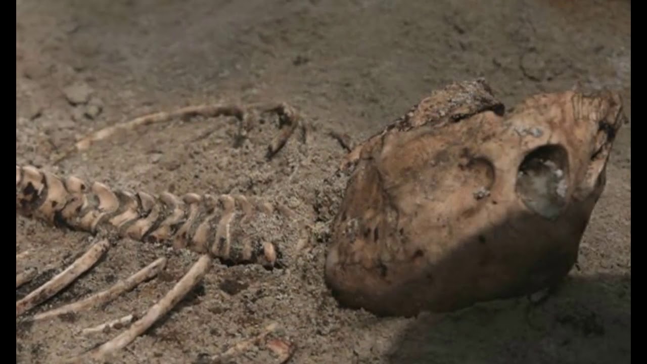 Mysteries, paranormal and inexplicable phenomena.