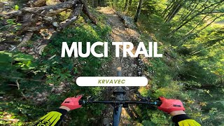 Muci Enduro Trail Bikepark Krvavec Slovenia 🇸🇮 POV RAW full run