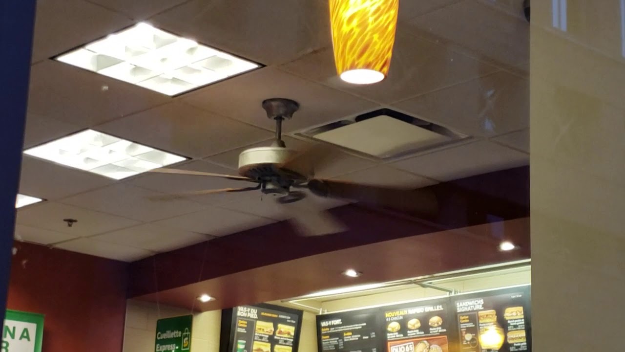 52" Regency MX Excel Ceiling Fans at Subway YouTube