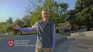 Living Monuments: Arlington National Cemetery Tree's Witness History