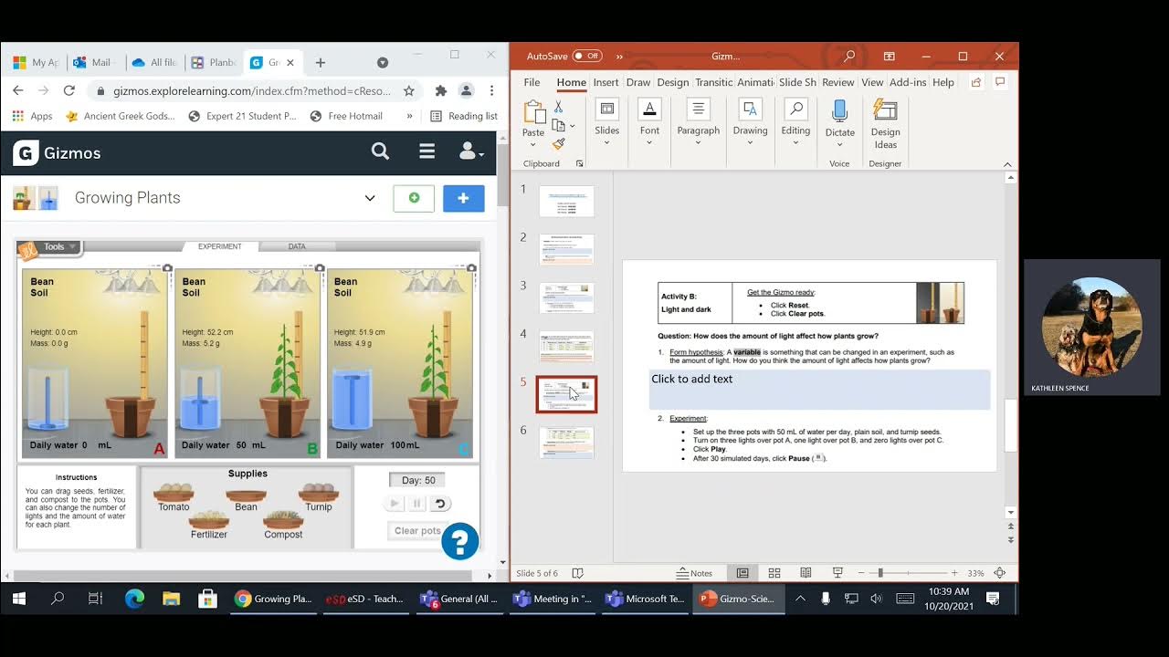 HOW TO DO THE GIZMO GROWING PLANTS LAB - YouTube