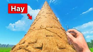 Information Playing a Game Where I Have to Find a Needle in a Haystack—It Took Me 4 Days! Update