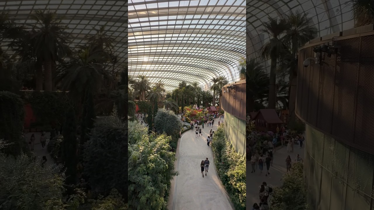 Flower Dome -Gardens by the bay, Singapore 🤍 
