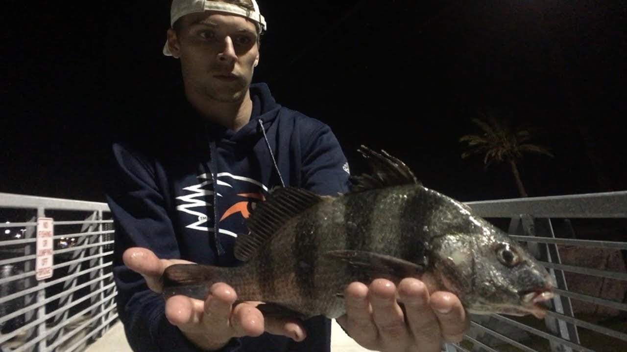 Night Fishing for Black Drum in Galveston, Tx YouTube