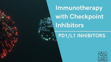 Immunotherapy with Checkpoint Inhibitors (PD1/L1 inhibitor)