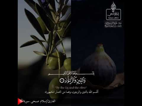 والتين والزيتون اسلام صبحى