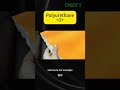 What is polyurethane_1  #polyurethane #PU  #GSTPU #shorts