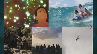 42Nd Annual Hawaii International Film Festival Presented By Halekulani