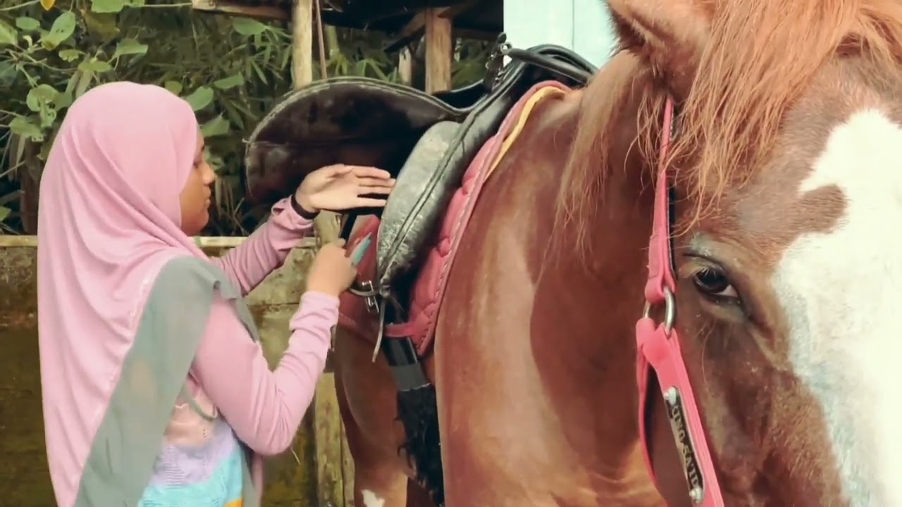 Hari Ke-4, Masih di PonPes ZIIS Banyumas