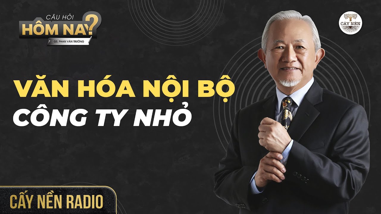 Outline Video Công ty nhỏ có cần xây dựng văn hoá nội bộ? | GS. Phan Văn Trường l Cấy Nền Radio