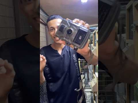 كمره بريه تنصب بل قابات