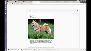 Angular Material Design Card