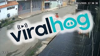 Kids Narrowly Missed By Dangerous Driver || ViralHog