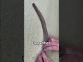 This used to be a solid wood, BUT..!