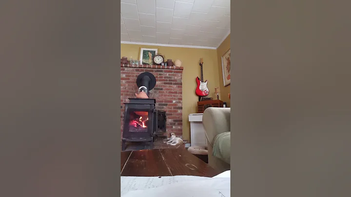 Hallelujah cover