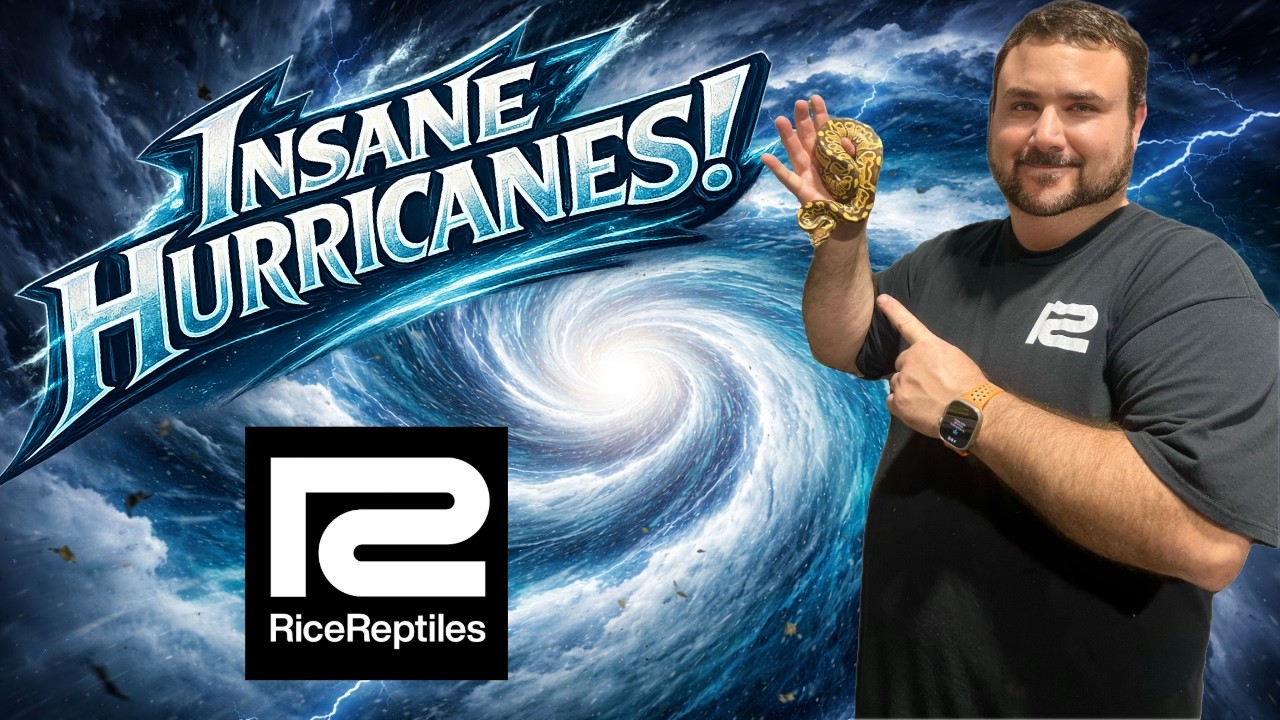 Безумные ураганы!