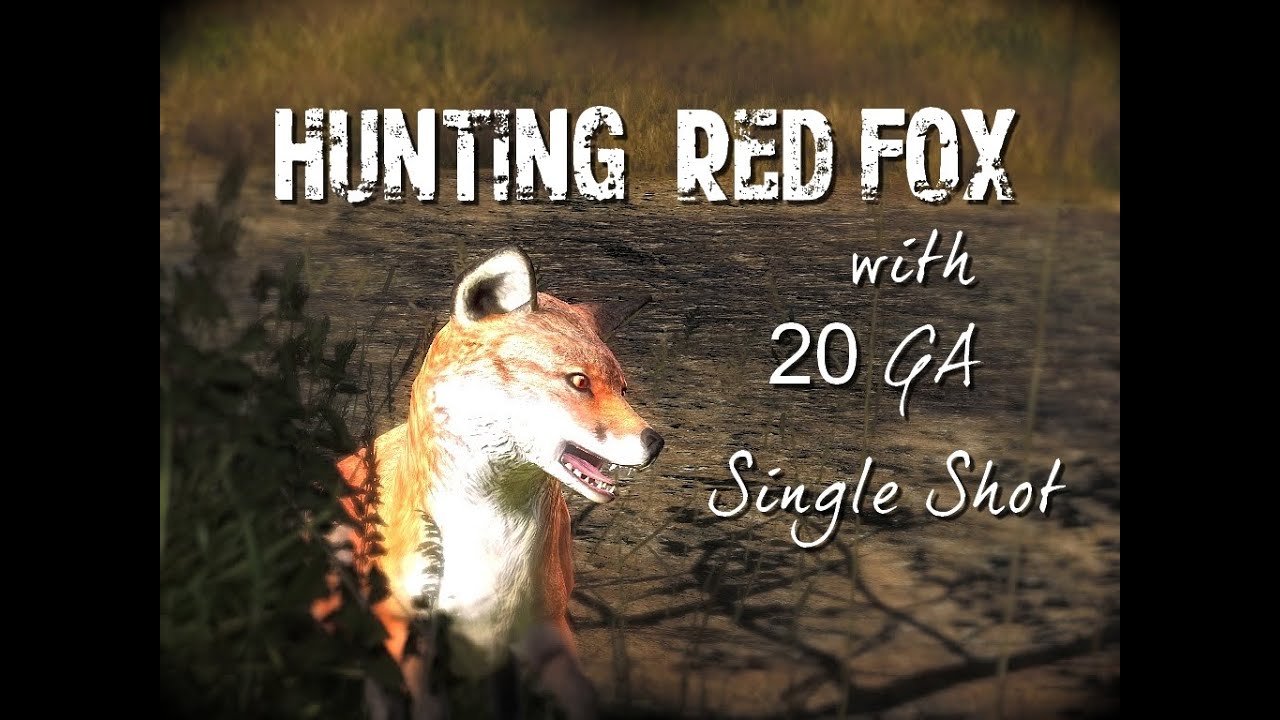 TheHunter : Hunting Red Fox w/ 12GA Single Shot.