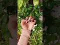 💅 Different Nail Art Ideas | Simple & Stylish Nails