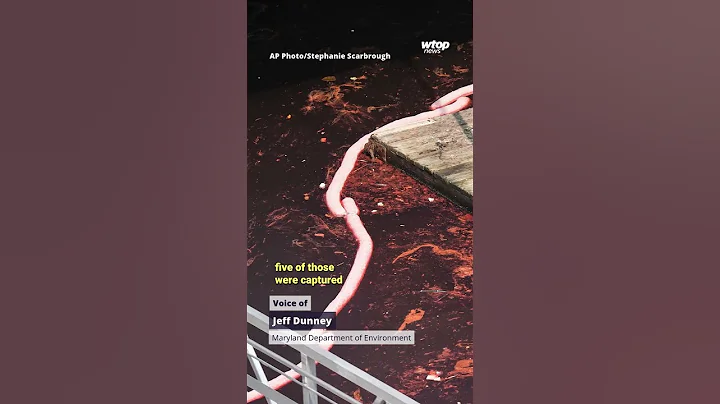 2,000-gallon diesel spill stains part of Baltimore waterfront