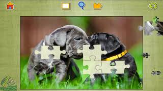 Dogs Jigsaw Puzzles Game | Learn Colors | Kids Songs | Education Games – Kid Learning with screenshot 4