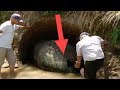 Simple farmer think He’s Found  ‘Alien Egg’ Buried On His farm