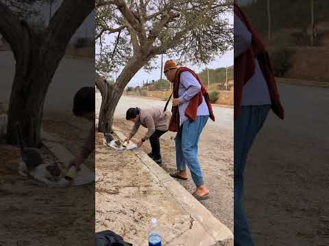 بغى يكل المكلة ديال المشاش