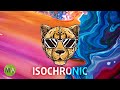 Liquid Drum n Bass Cheetah Mix - Peak Focus For Complex Tasks