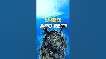 📸 Insta360 X4 vs. Ace Pro 2: Which One for Freediving?  #insta360 #freediving #diving #underwater